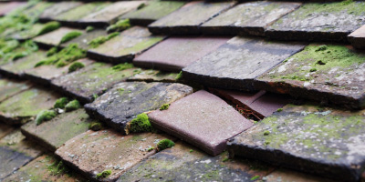 Widmoor roof repair costs